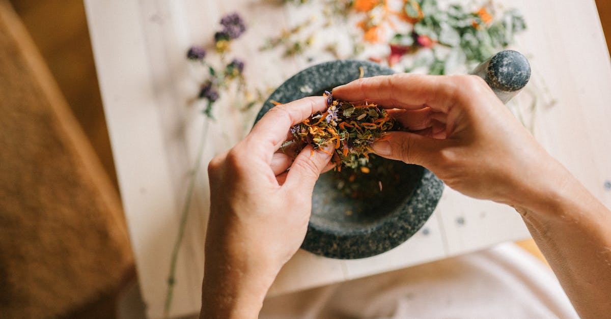 discover the world of alternative medicine, exploring holistic therapies, herbal remedies, and natural treatments that promote wellness and healing without conventional drugs.