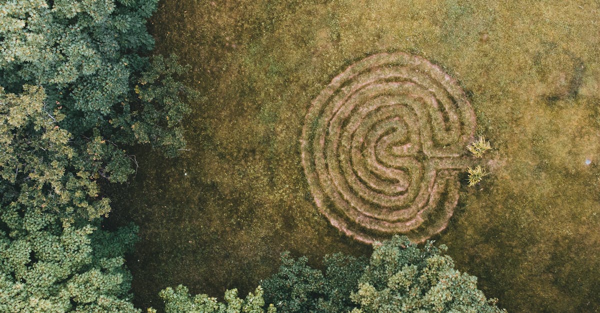 la labyrinthite est une affection de l'oreille interne caractérisée par une inflammation du labyrinthe, entraînant des symptômes tels que des vertiges, une perte auditive et des troubles de l'équilibre. découvrez ses causes, ses options de traitement et ses stratégies de gestion pour un rétablissement efficace.