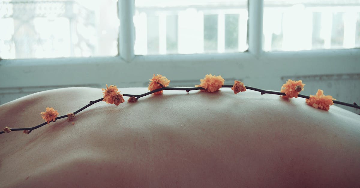 experience ultimate relaxation and rejuvenation with our professional massage services. whether you seek relief from stress, muscle tension, or simply want to indulge in a calming escape, our skilled therapists are here to provide you with a personalized therapeutic journey. discover the perfect balance for your body and mind today!