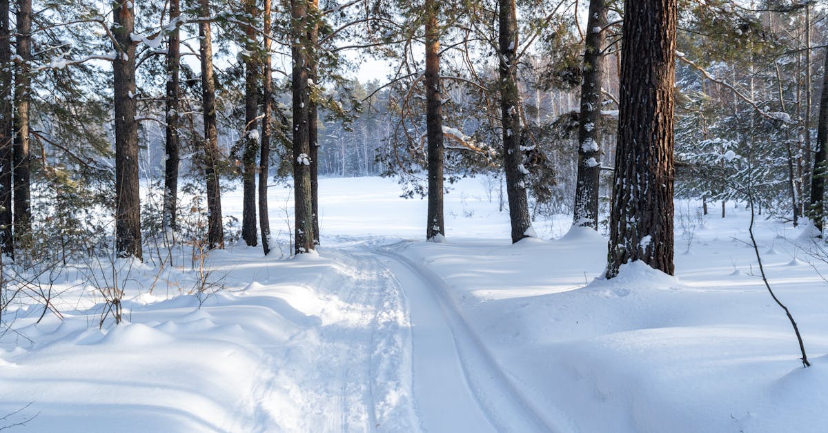 discover the causes, symptoms, and effective treatments for frozen shoulder. learn how to manage pain and regain mobility with expert tips and resources.