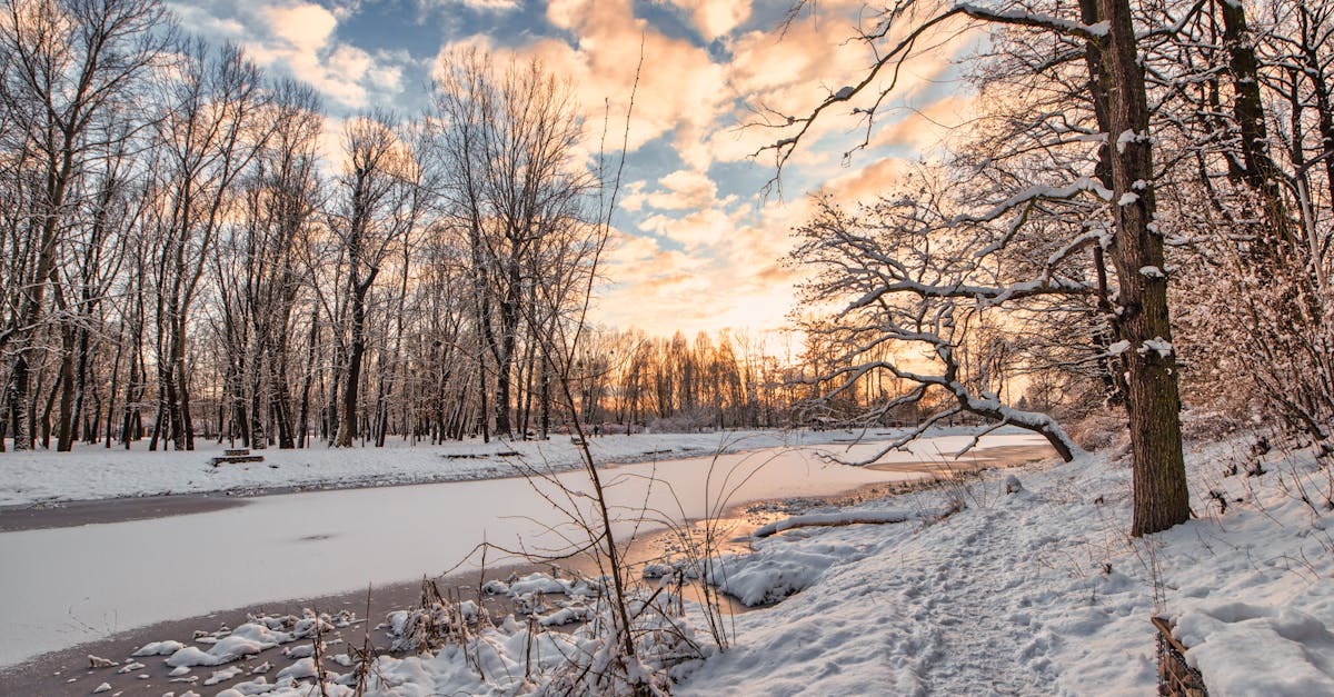 discover the causes, symptoms, and effective treatment options for frozen shoulder. learn how to manage pain, improve mobility, and find relief from this common condition with practical tips and expert advice.