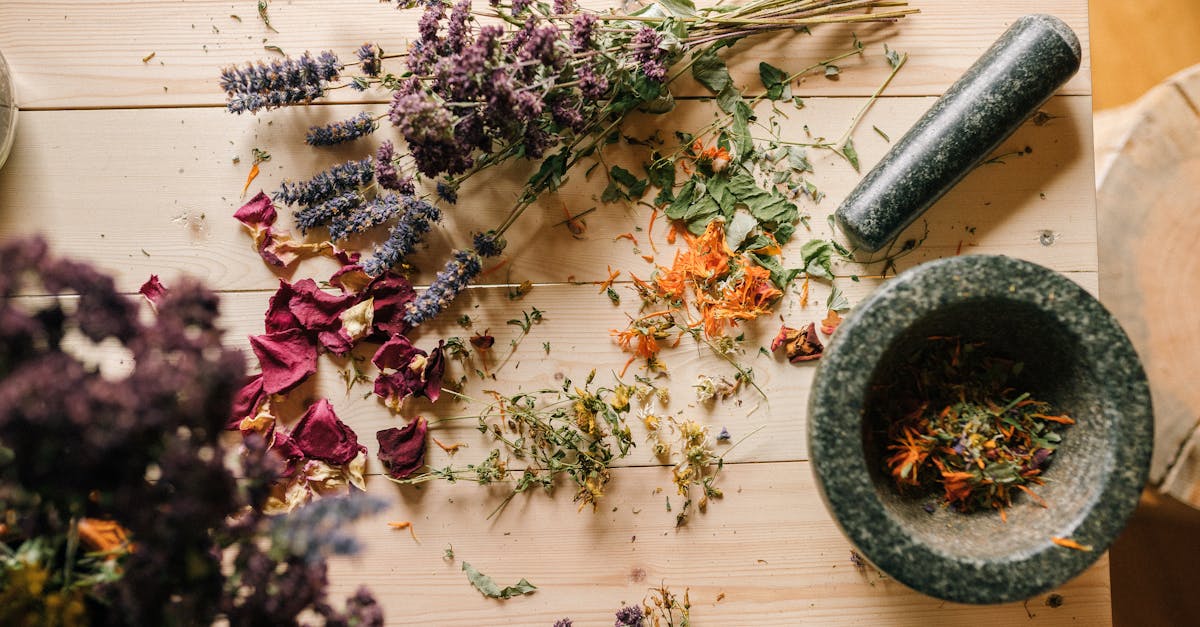 discover the power of natural remedies for improving health and well-being. explore a variety of herbal treatments, holistic practices, and effective home solutions to enhance your quality of life naturally.