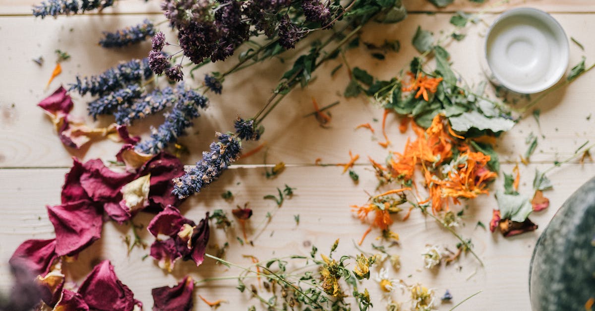 explore the world of natural remedies with effective solutions for various ailments. discover herbal treatments, essential oils, and holistic practices to enhance your well-being naturally.