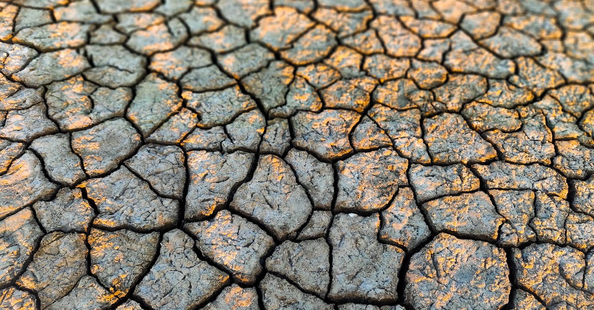 L'adoption d'une routine de consommation d'eau peut maintenir les niveaux d'hydratation.