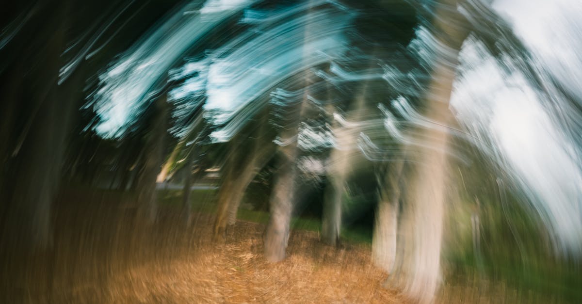 explore the causes, symptoms, and treatments of dizziness. learn how to identify different types of dizziness, from vertigo to lightheadedness, and discover effective remedies and when to seek medical attention.