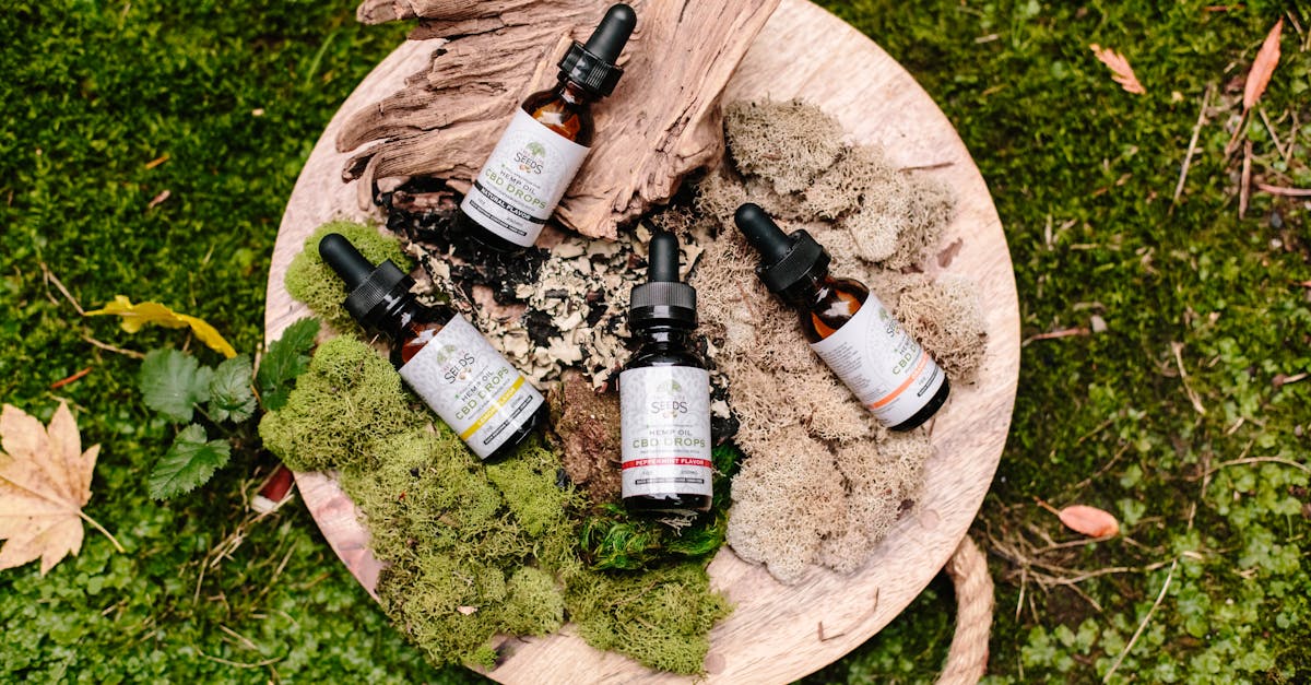 discover the power of essential oils for natural healing, aromatherapy, and wellness. learn about their benefits, uses, and how to incorporate them into your daily routine for a healthier lifestyle.