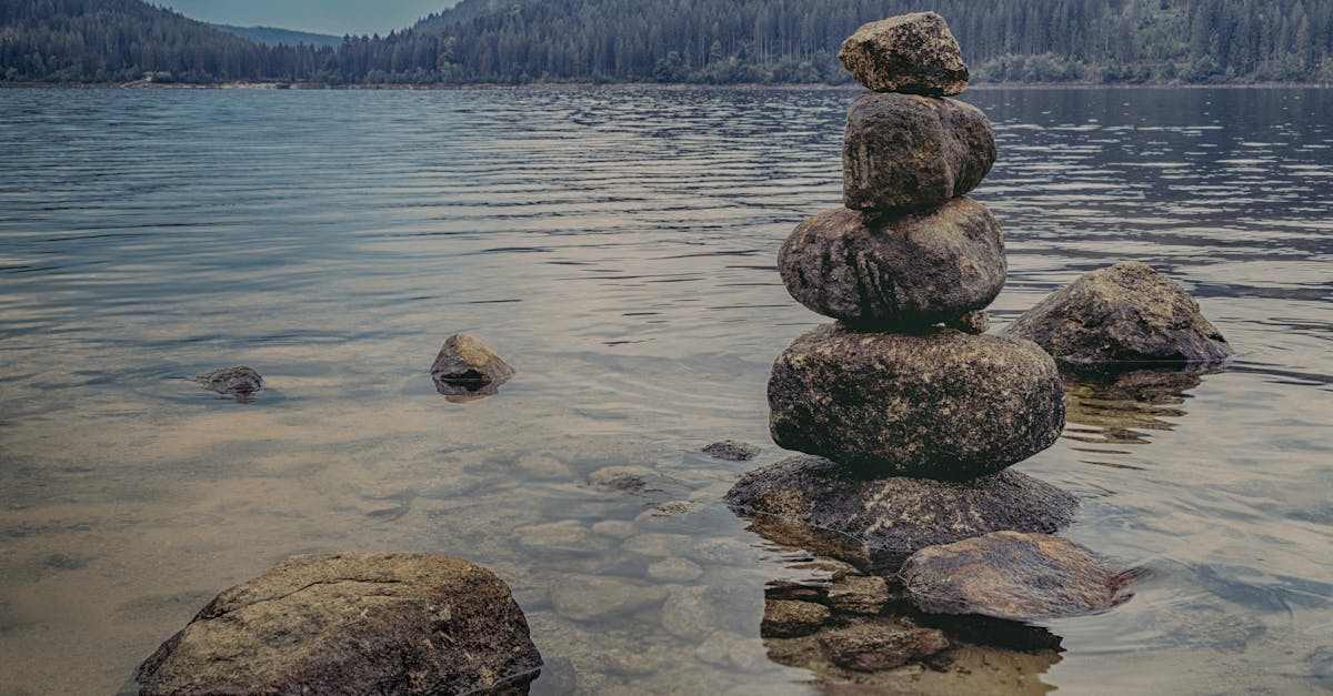 discover the transformative power of meditation. explore techniques to calm your mind, reduce stress, and enhance your overall well-being. join us on a journey to inner peace and mindfulness.