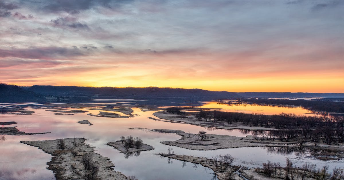 Ideas prácticas sobre cómo aliviar el dolor de hombro congelado con Pulse Align