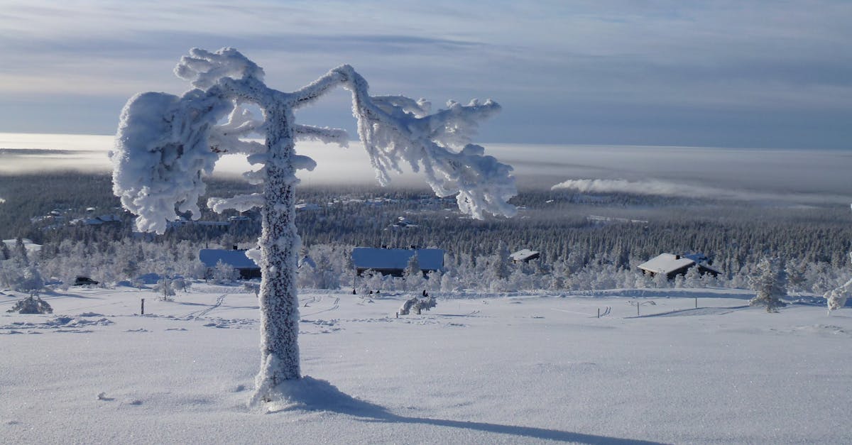 Vous cherchez des solutions pour votre épaule gelée ? Découvrez les conseils avisés de Pulse Align. 3 Thermothérapie : Appliquez de la chaleur pour améliorer la circulation sanguine et détendre les muscles des épaules.