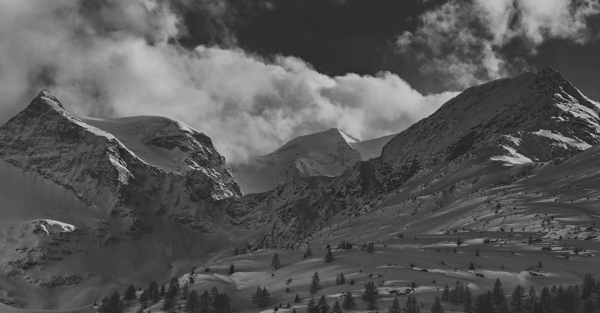 Vous cherchez des solutions pour votre épaule gelée ? Découvrez les conseils avisés de Pulse Align. 4 Vous cherchez des solutions pour votre épaule gelée ? Découvrez les conseils avisés de Pulse Align.