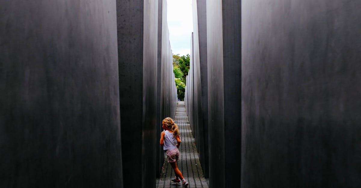 Recuperación de la laberintitis: uso de Pulse Align para promover una recalibración sutil 1 El Enfoque Pulse Align