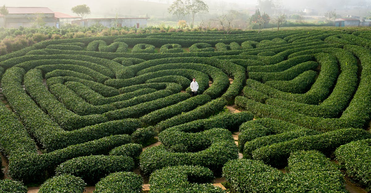 Recuperación de la laberintitis: uso de Pulse Align para promover una recalibración sutil 2 La experiencia de cada persona con la laberintitis es única, por lo que la atención personalizada es fundamental. En Pulse Align, nuestros clientes se benefician de planes de tratamiento personalizados, diseñados para satisfacer necesidades específicas. Nos centramos no solo en el alivio inmediato de los síntomas, sino también en el bienestar a largo plazo, promoviendo el equilibrio y la estabilidad naturales.