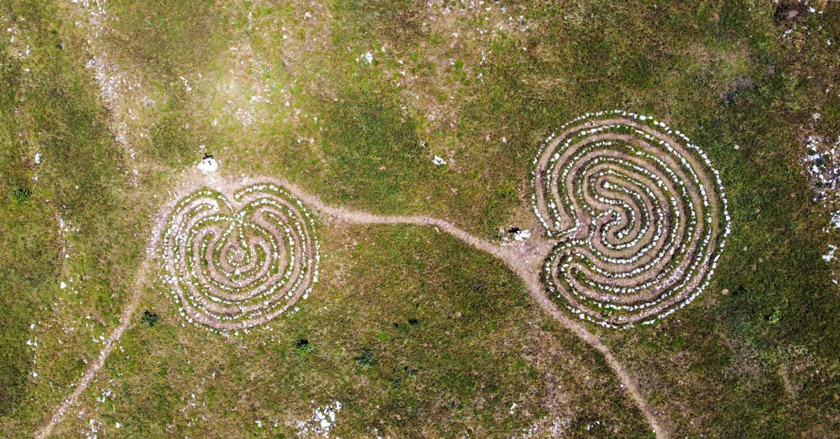 Recuperación de la laberintitis: uso de Pulse Align para promover una recalibración sutil 3 Mecanismo de acción