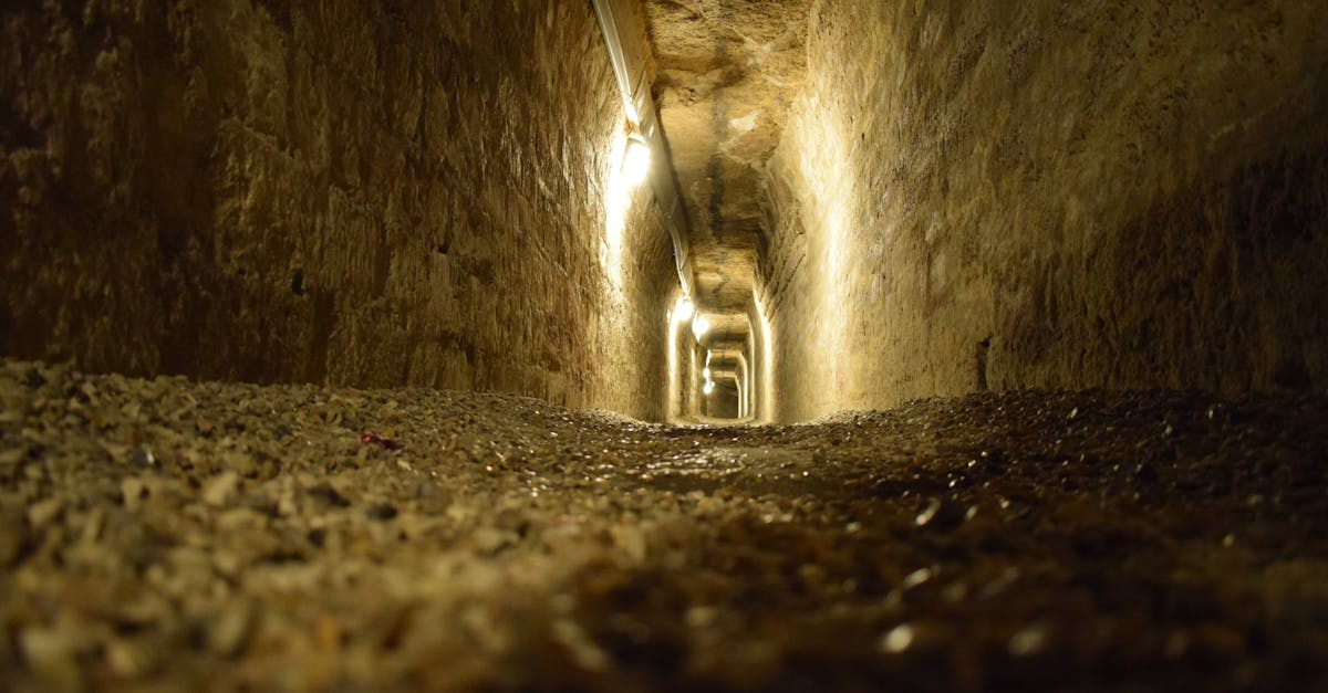 Recuperación de la laberintitis: uso de Pulse Align para promover una recalibración sutil 4 Recuperación de la laberintitis: uso de Pulse Align para promover una recalibración sutil