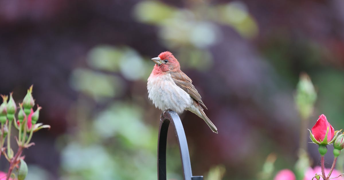 Pausas de movimiento consciente: pequeños pasos de Pulse Align hacia una postura más saludable 1 Explore la importancia de la postura en la vida diaria, su impacto en la salud y consejos para mejorar su alineación y lograr un mejor bienestar general.