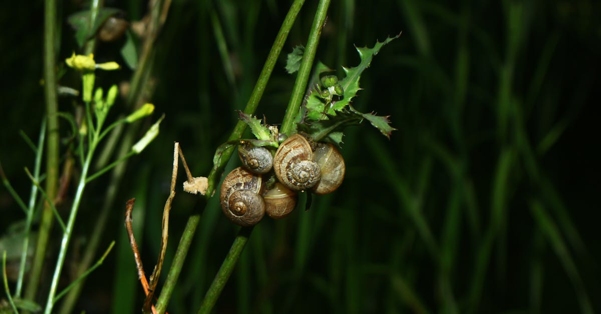 discover essential information about cluster headaches, including symptoms, causes, treatment options, and tips for managing this intense headache disorder. get the facts to help you find relief.