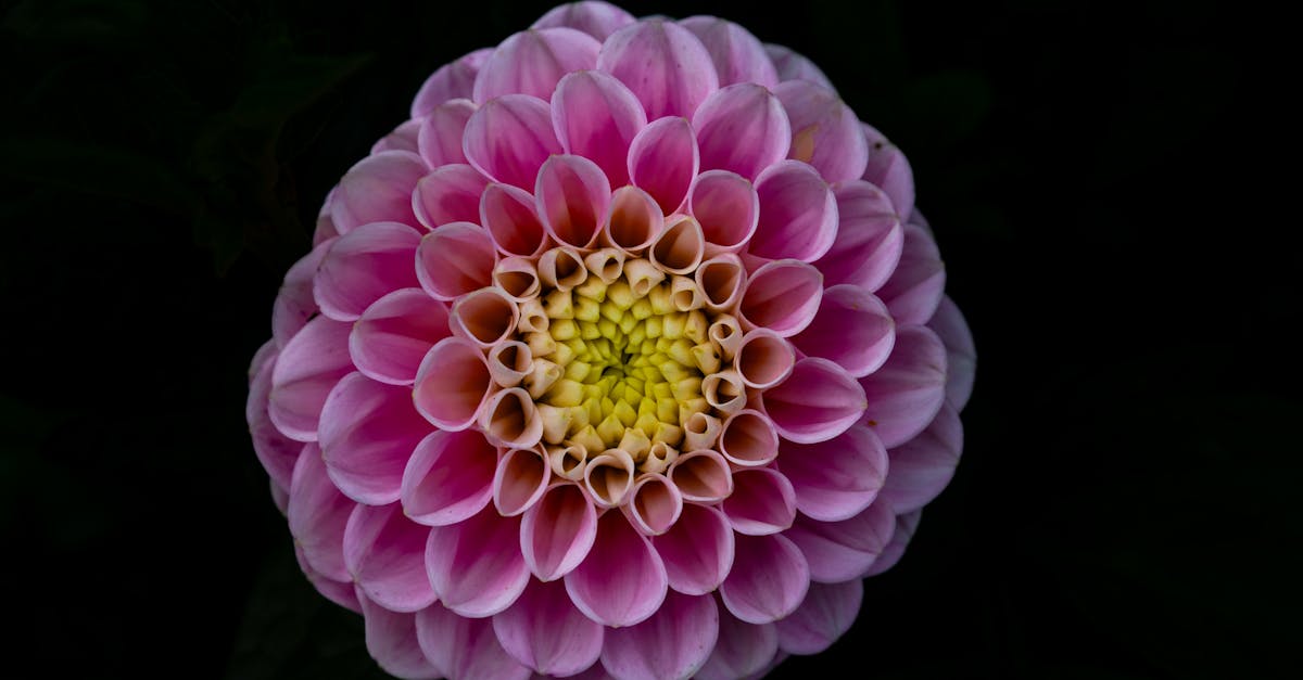 discover effective core strengthening exercises and tips to improve your stability, posture, and overall fitness. enhance your core muscles with expert guidance.