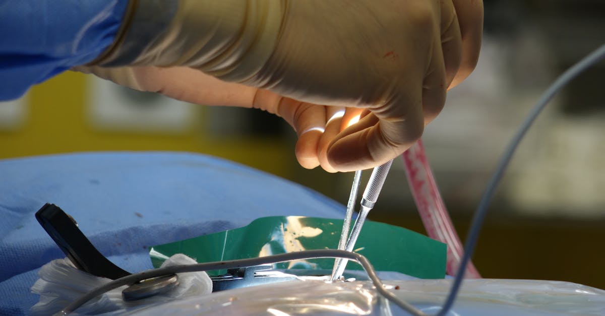 discover essential information about herniated discs, including symptoms, causes, treatment options, and tips for managing pain and recovery.