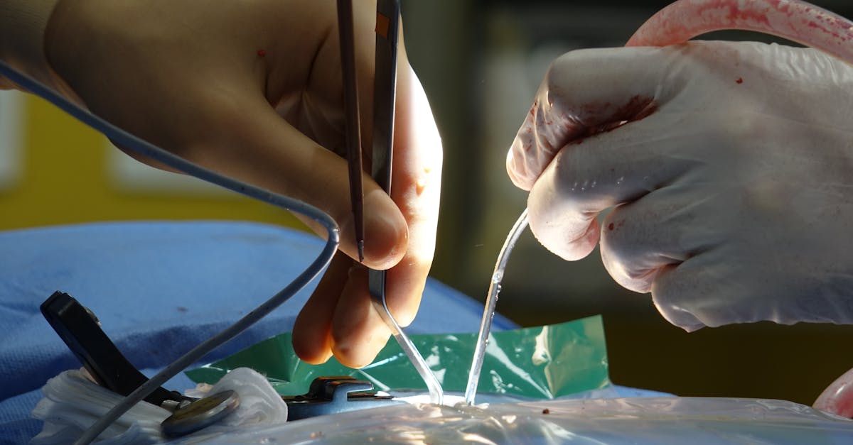 Los clientes de Châteauguay encontrarán un apoyo increíble en Pulse Align. La dedicación del equipo a la salud holística y su comprensión de los procesos naturales de curación del cuerpo han transformado mi enfoque de la salud. Ya no me siento limitada por mi hernia discal; ¡he recuperado mi entusiasmo por la vida!